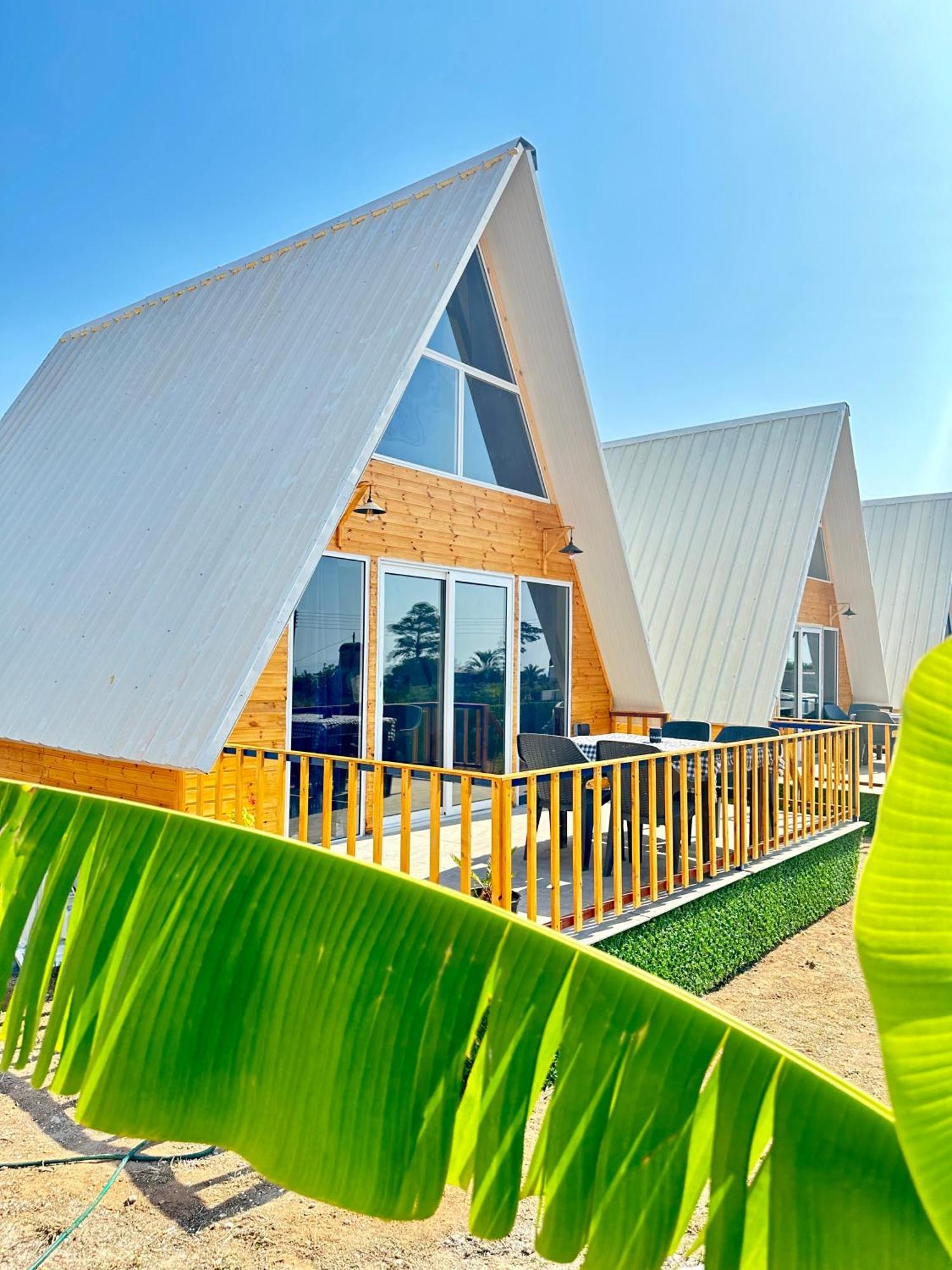 Loft Karpasia Rizokarpaso Bagian luar foto